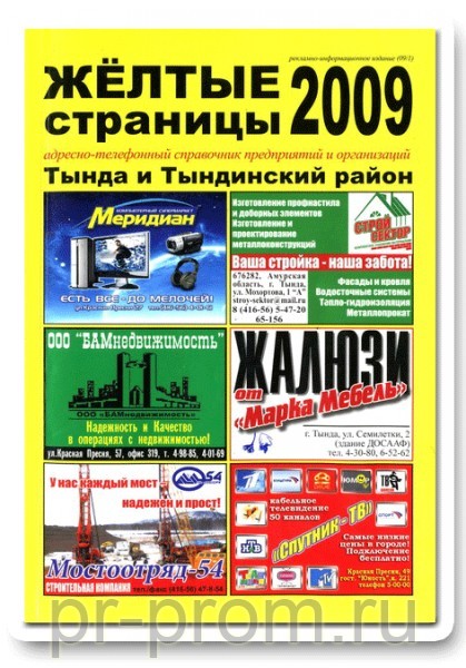 "Желтые страницы. Тында" 2009 г. Тында фото, цена, продажа, купить