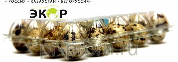 ПЭТ-упаковка для перепелиного яйца Ростов -на-Дону фото, цена, продажа, купить