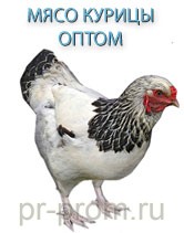 куриное мясо Екатеринбург фото, цена, продажа, купить