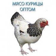 куриное мясо Екатеринбург фото, цена
