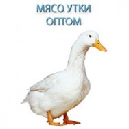 утиное мясо Екатеринбург фото, цена