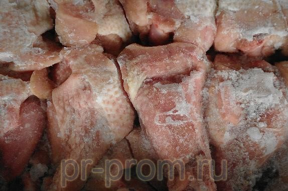 индейка  фото, цена, продажа, купить