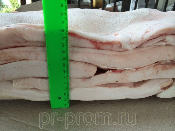 шпик свиной  фото, цена, продажа, купить