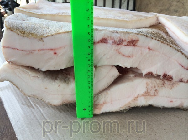 шпик  фото, цена, продажа, купить