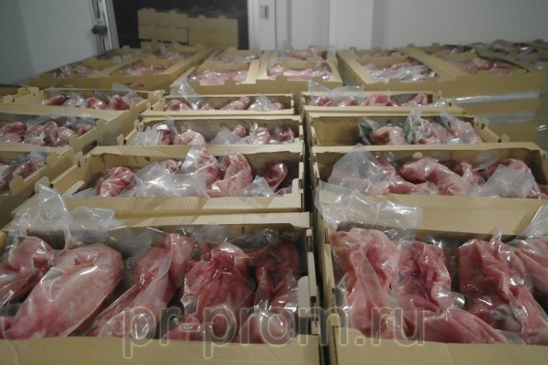 кролик  фото, цена, продажа, купить