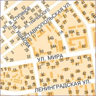 Тольятти, подробная настенная карта с домами г. Самара фото, цена